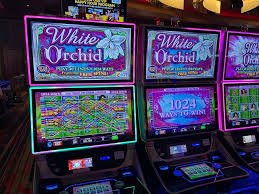 bigwin138 login featured game showcase